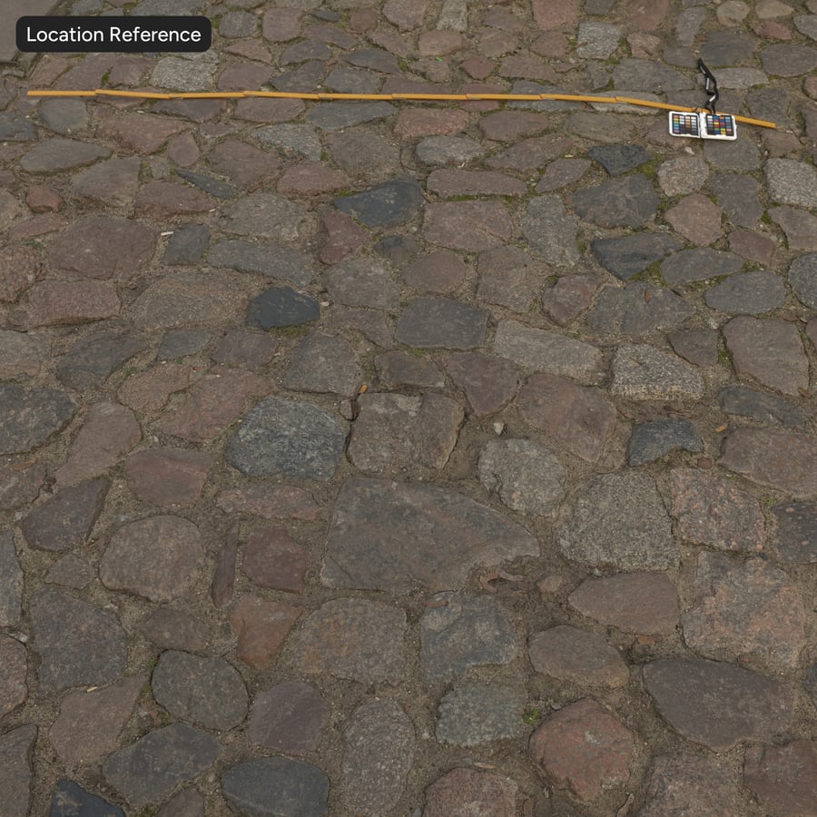 Worn Cobblestone with Weeds Texture