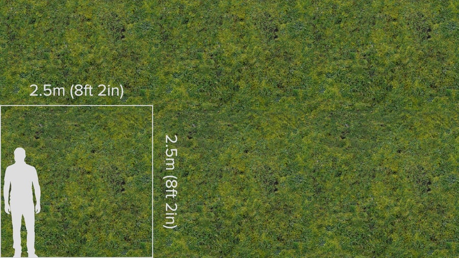 Short Grass Texture