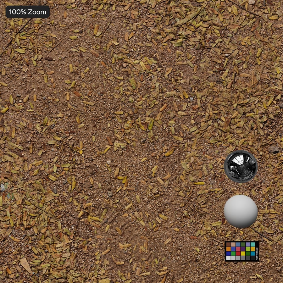 Compacted Earth with Seed and Leaf Debris Texture, Brown