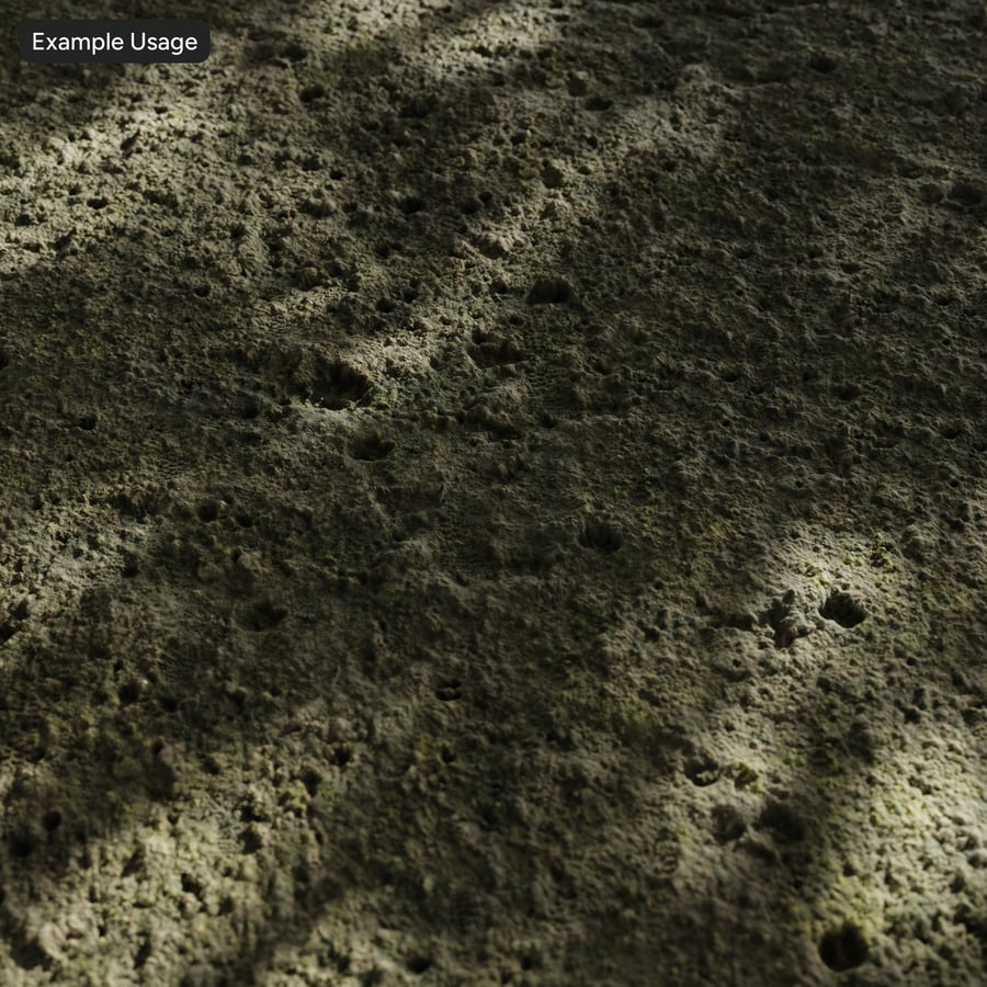 Algae Covered Ground Texture