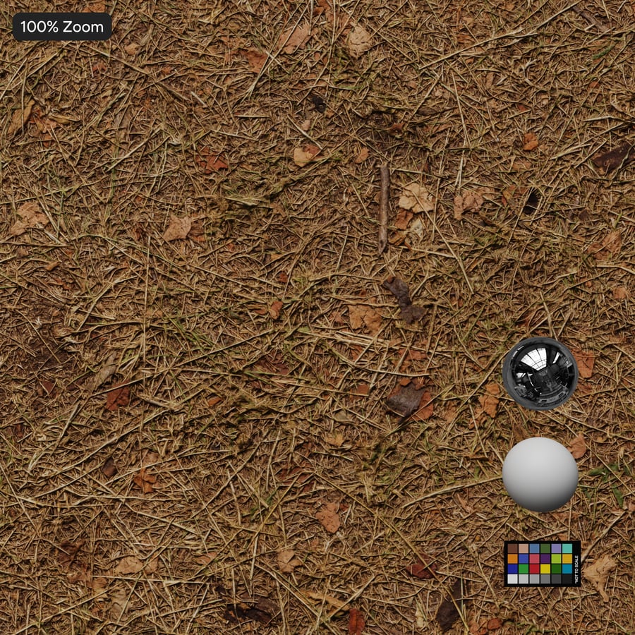 Forest Needles Textures