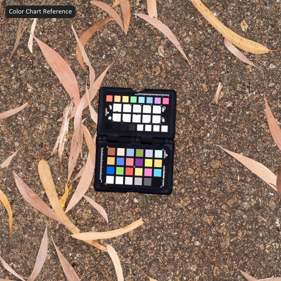 沥青上的落叶纹理