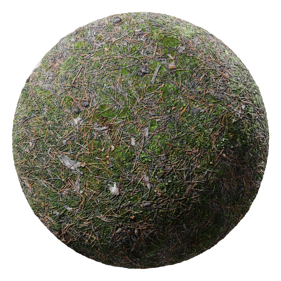 Ground Forest Mossy 001