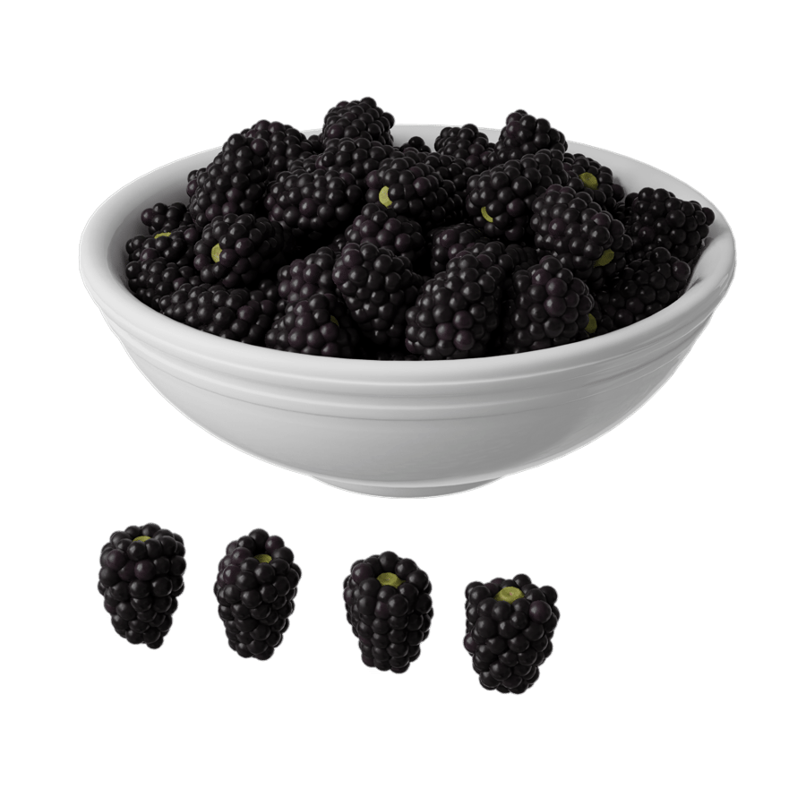 Black Raspberries Fruit Bowl Food Model