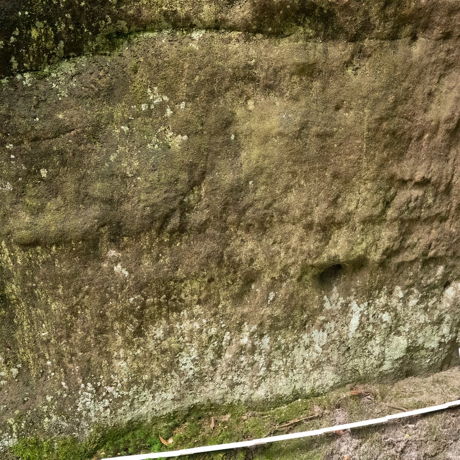 Textura de rocha de penhasco coberta por musgo pesado