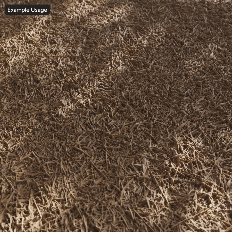 Texture des roseaux séchés