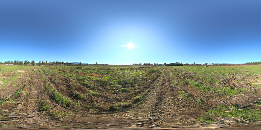 Hdr Outdoor Pumpkin Field Day Clear 001