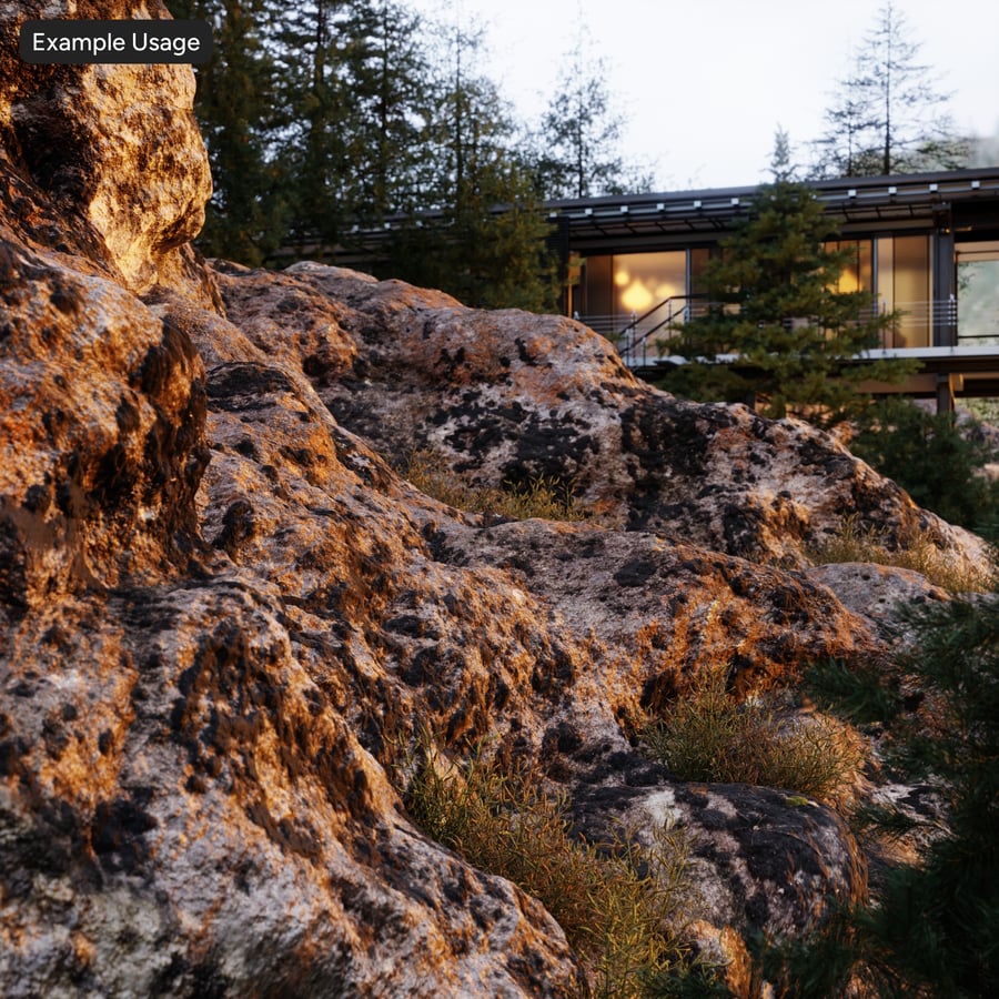 Lichen Moss Covered Cliff Rock Texture, Grey