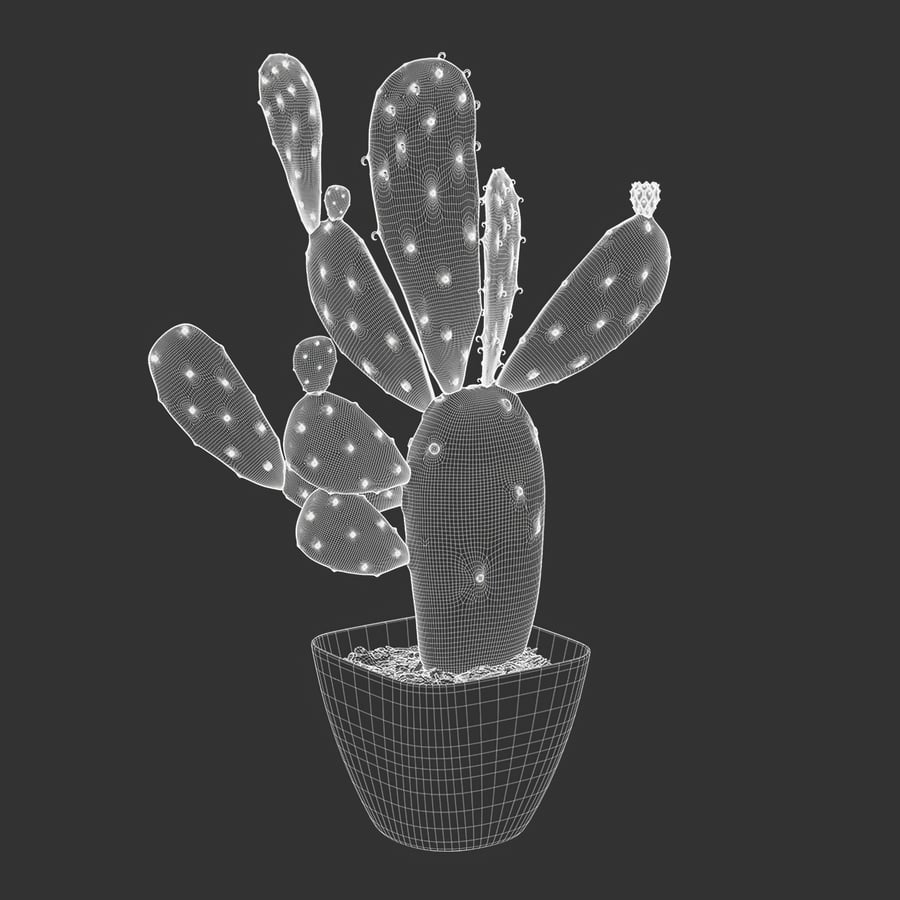 Imperfect Prickly Pear Cactus Potted Plant Model