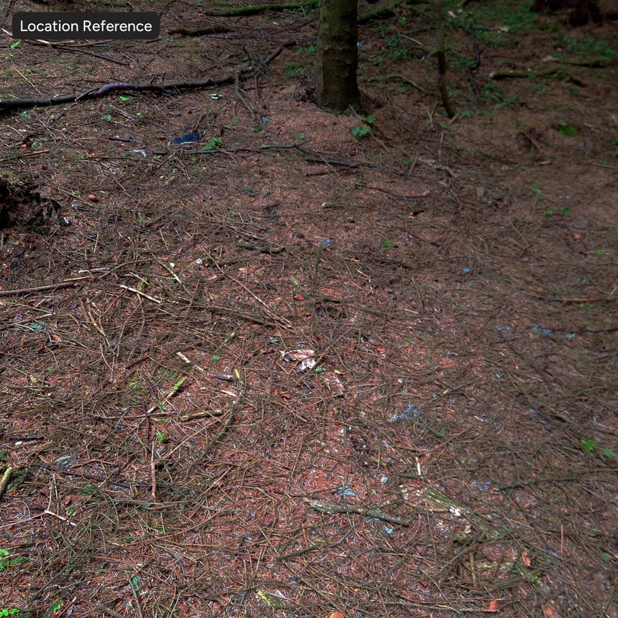 Conifer Leaves on Forest Ground Texture