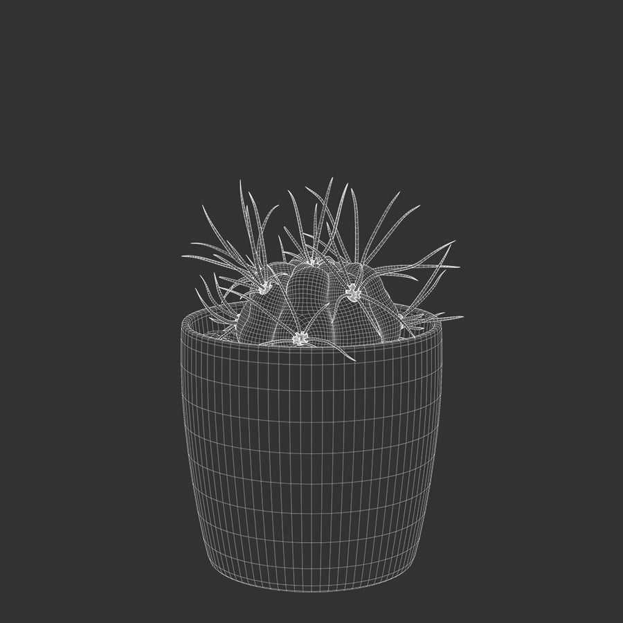 Baby Euphorbia Cactus Potted Plant Model