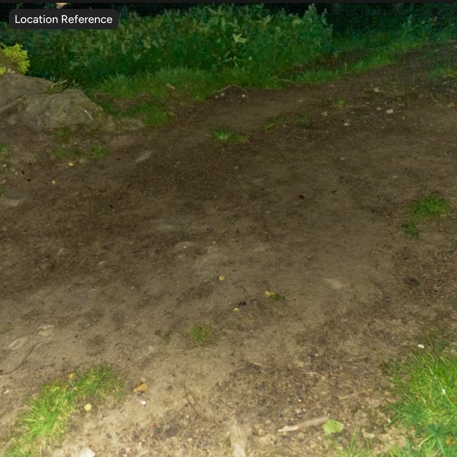 Piccole foglie su sentiero sporco Texture