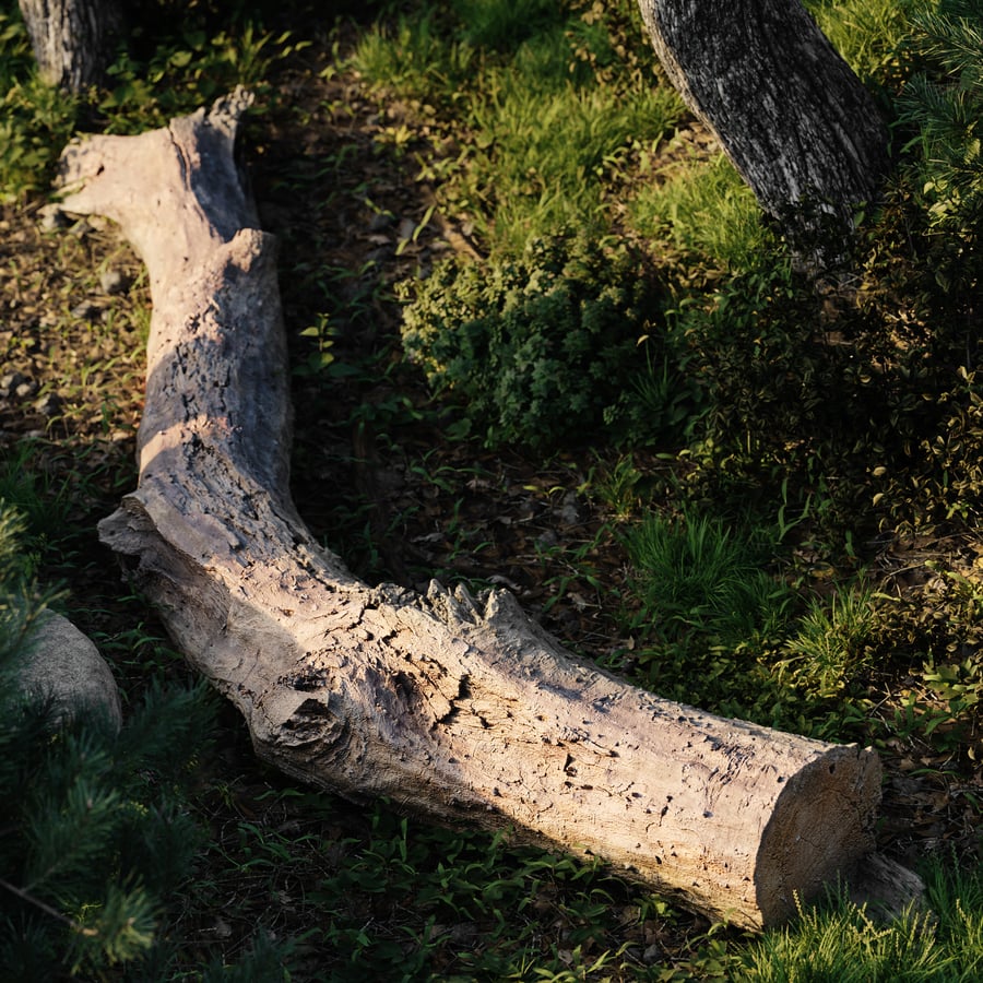 Medium Gnarly Splintered Log Model