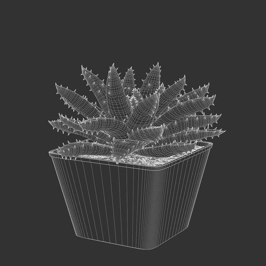 Short Leaved Aloe Succulent Potted Plant Model