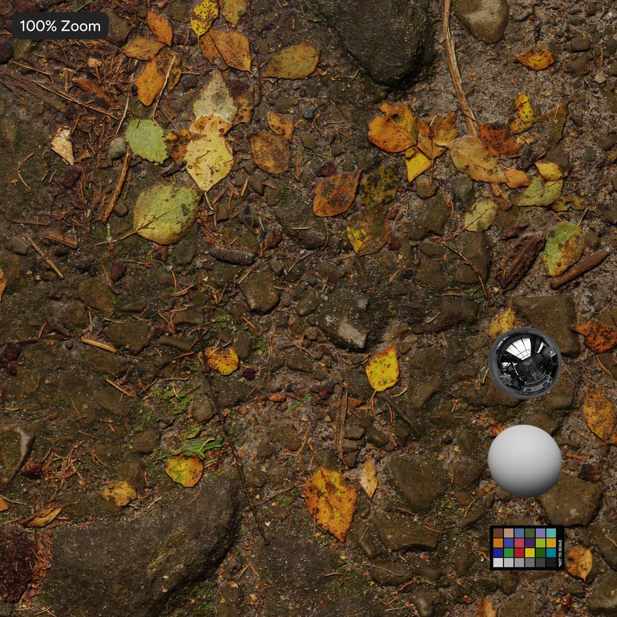 Herfstbladeren op een onverharde weg Textuur