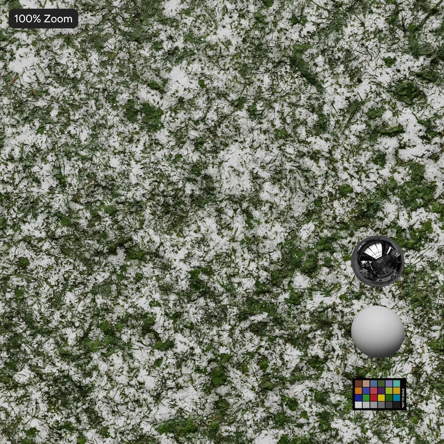 Snow on Grass Texture