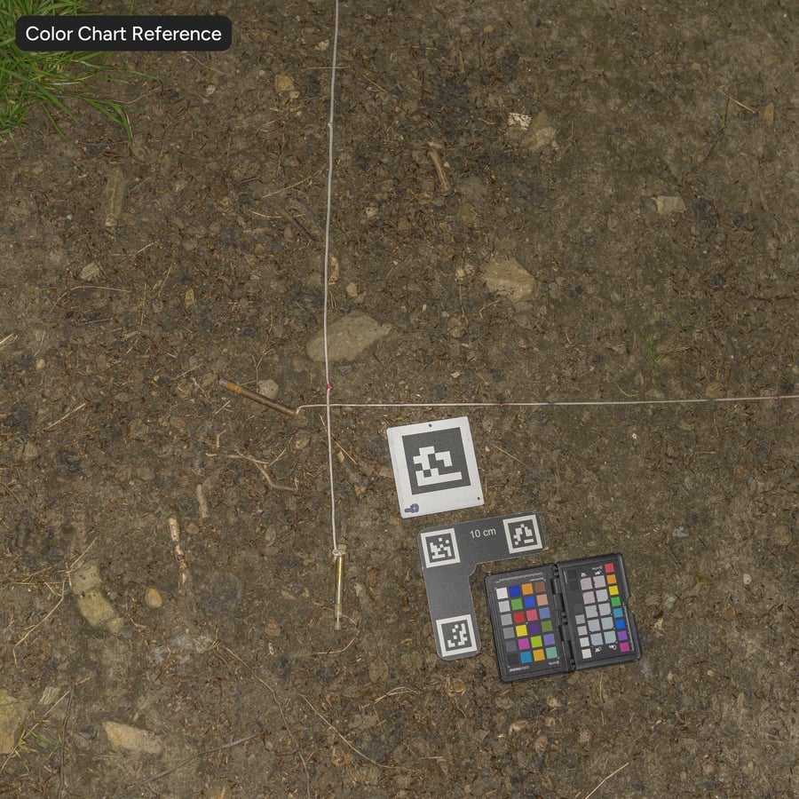 Piccole foglie su sentiero sporco Texture