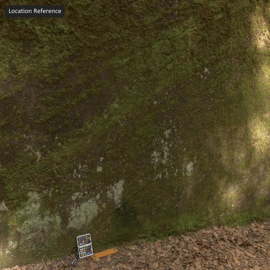 Textura de rocha de penhasco musgoso