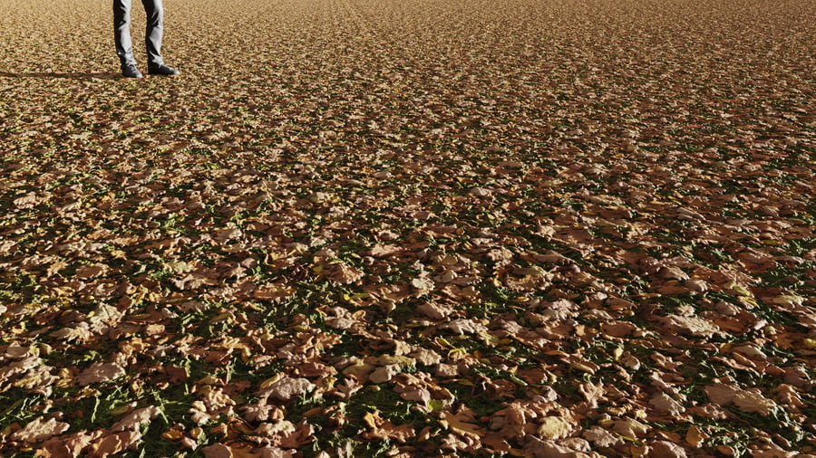 Ground Grass Green Leaves 002