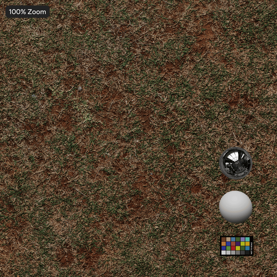 Texture de l'herbe parsemée