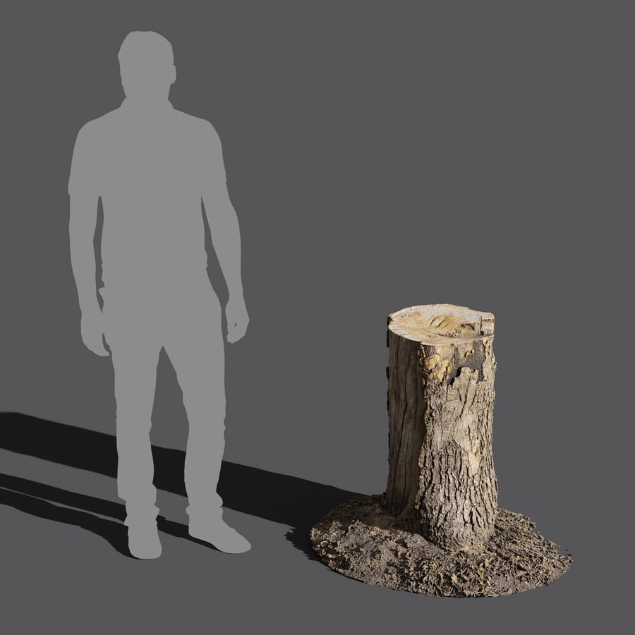 Medium Cut Conifer Stump Model