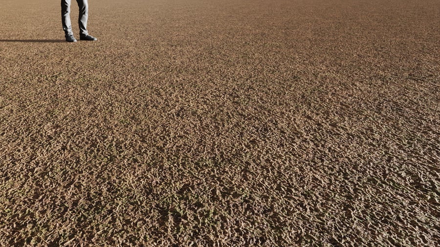 Weeds & Dried Grass Ground Texture