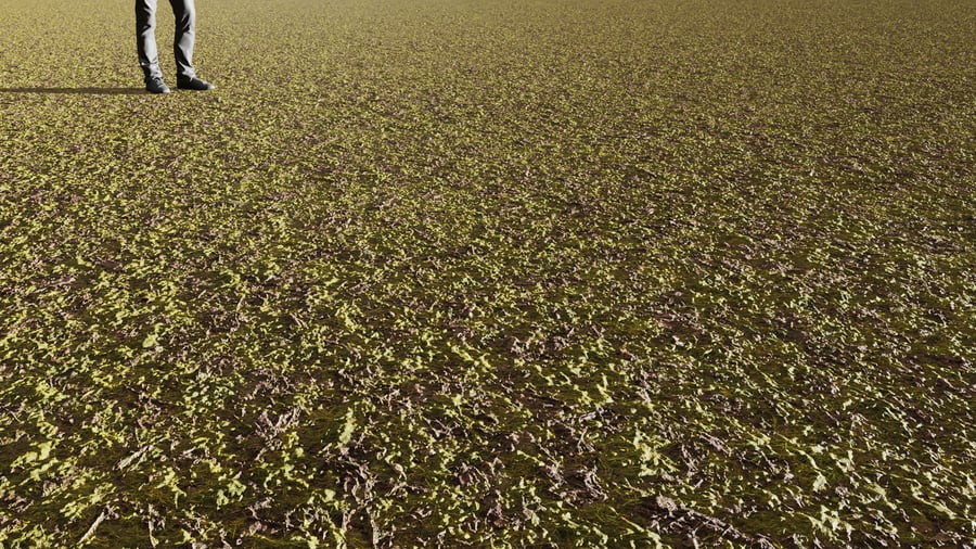 Leaves & Grass Ground Texture, Green