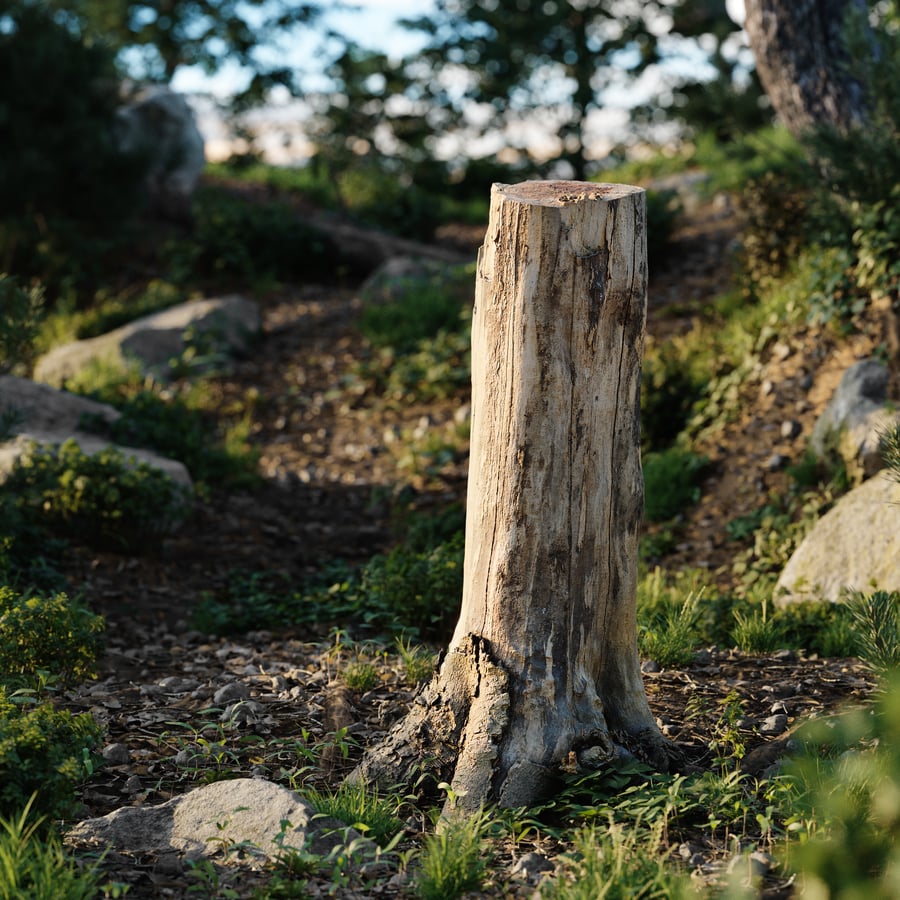 Tall Cut Bare Stump Model