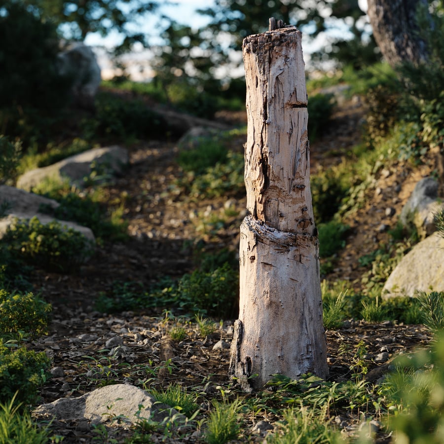 Tall Cut Damaged Stump Model