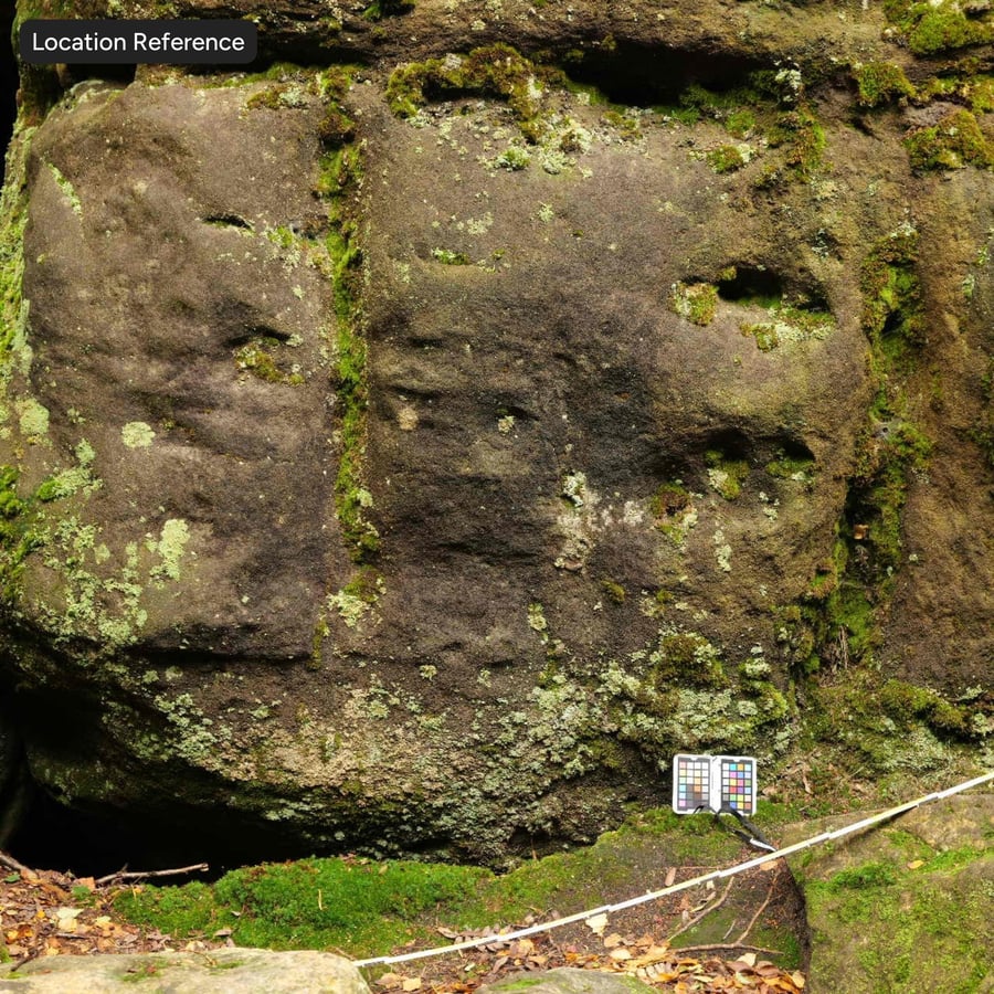 Textura de pedra com musgo e líquen