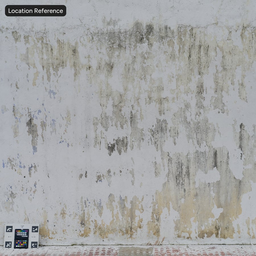 Moldy Peeled Plaster, White