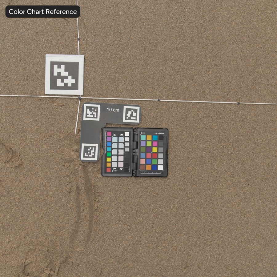 Wet Flat Dotted Sand Texture