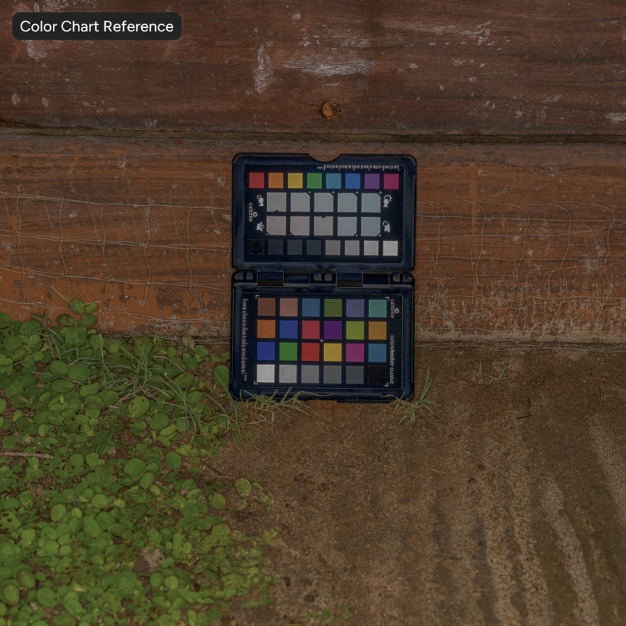 Worn Wood Gate Texture