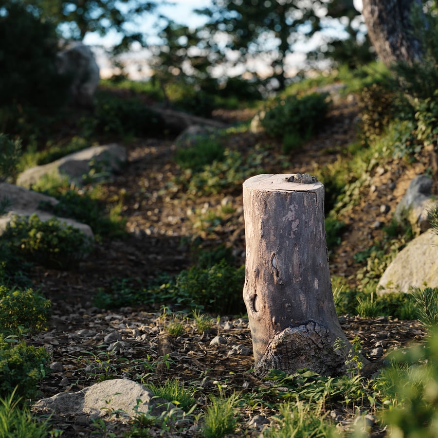 Medium Cut Bare Deciduous Stump Model