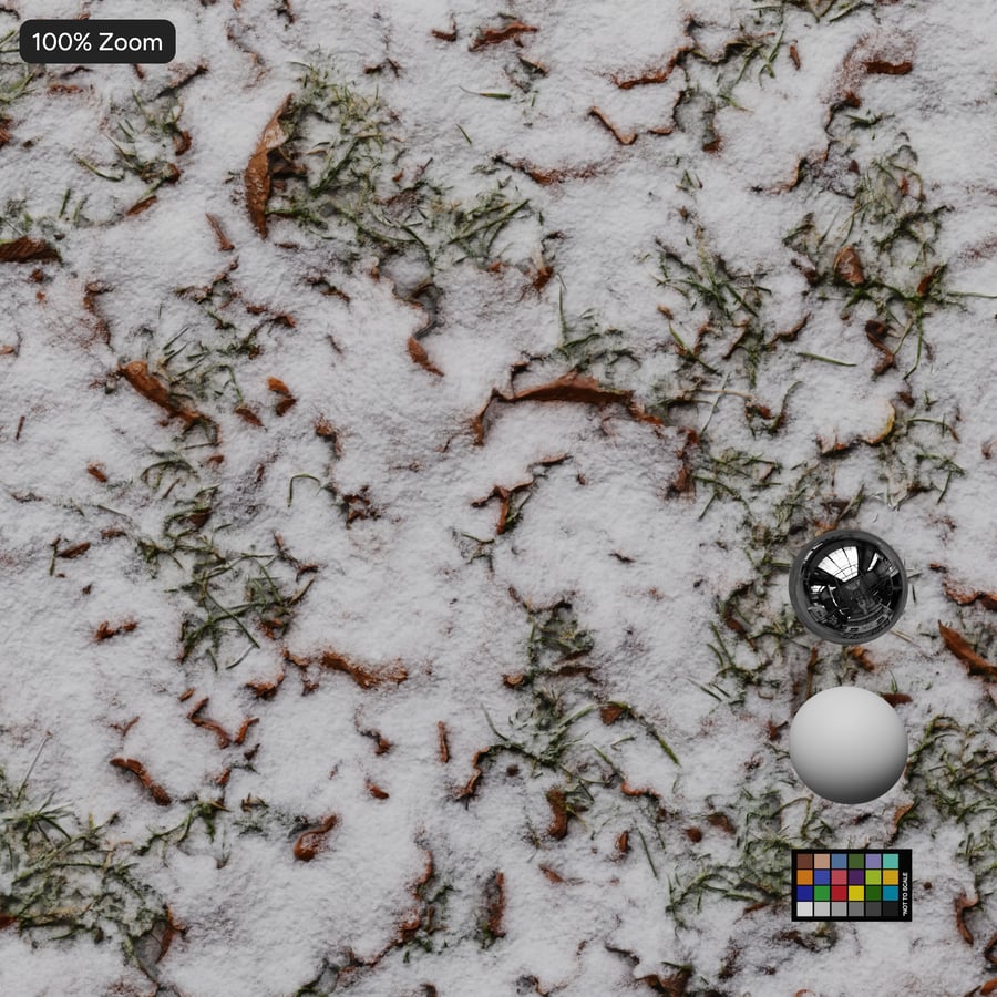 Snow and Leaves on Grass Texture