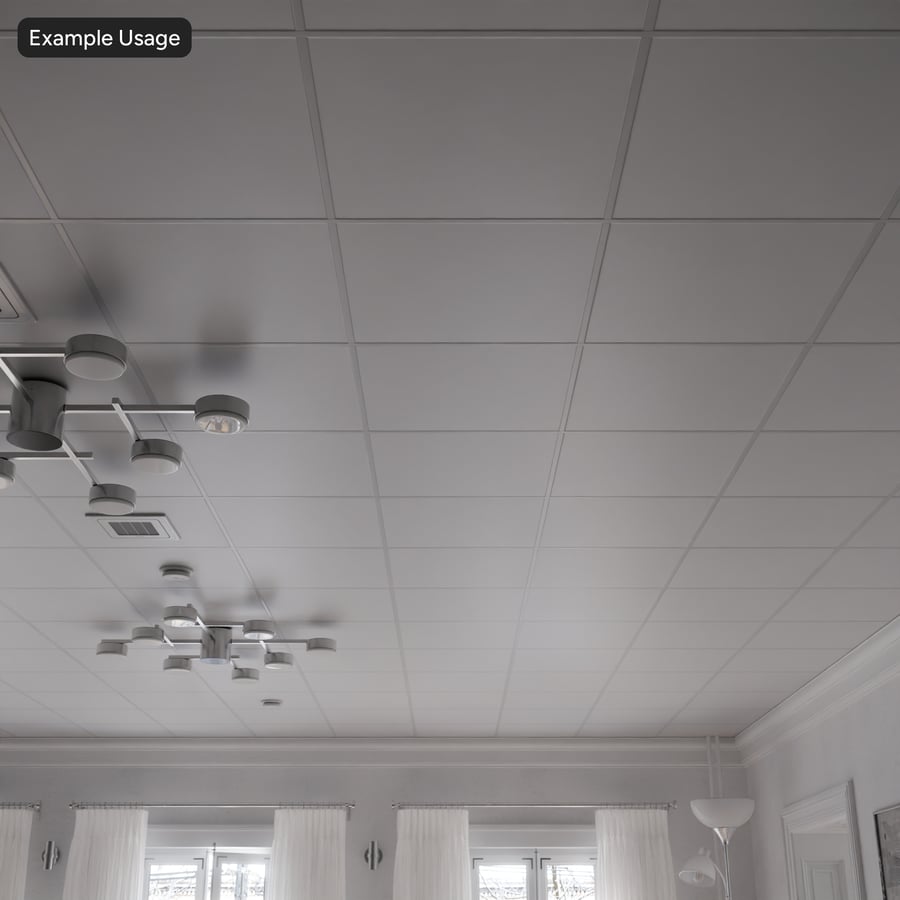 Plain Vinyl Tile Ceiling Texture, White