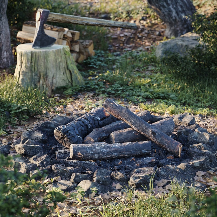 Fully Burned Natural Firewood Models Collection