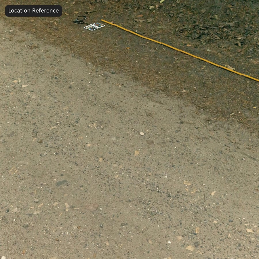 Rocky Dirt Road Texture