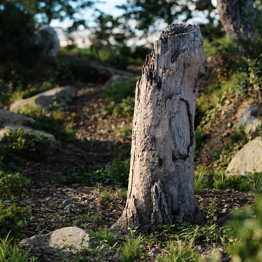 Tall Broken Decaying Stump Model