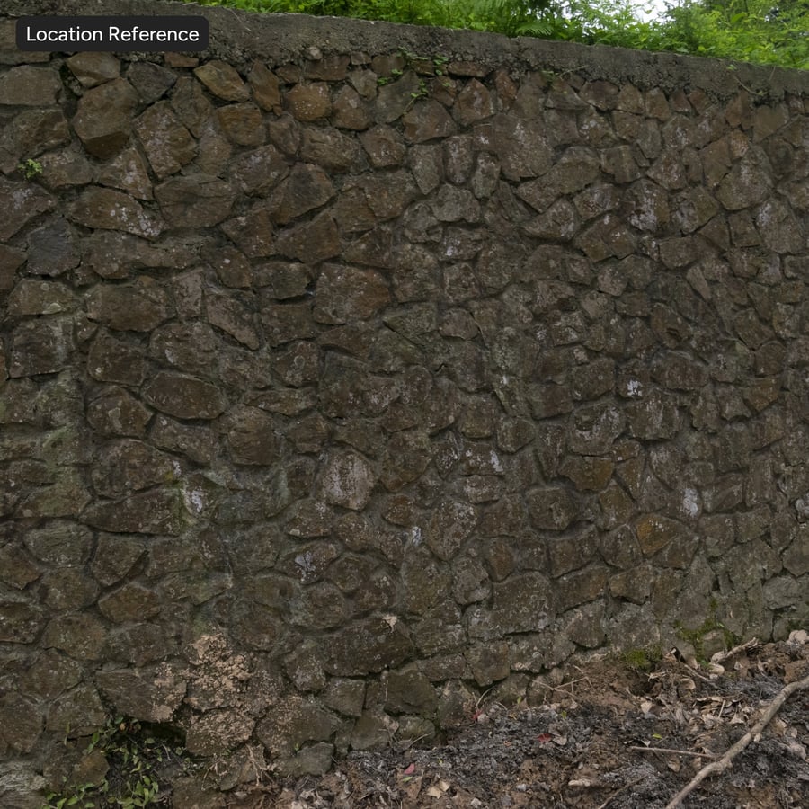Textura de parede de pedra coberta de musgo, castanho
