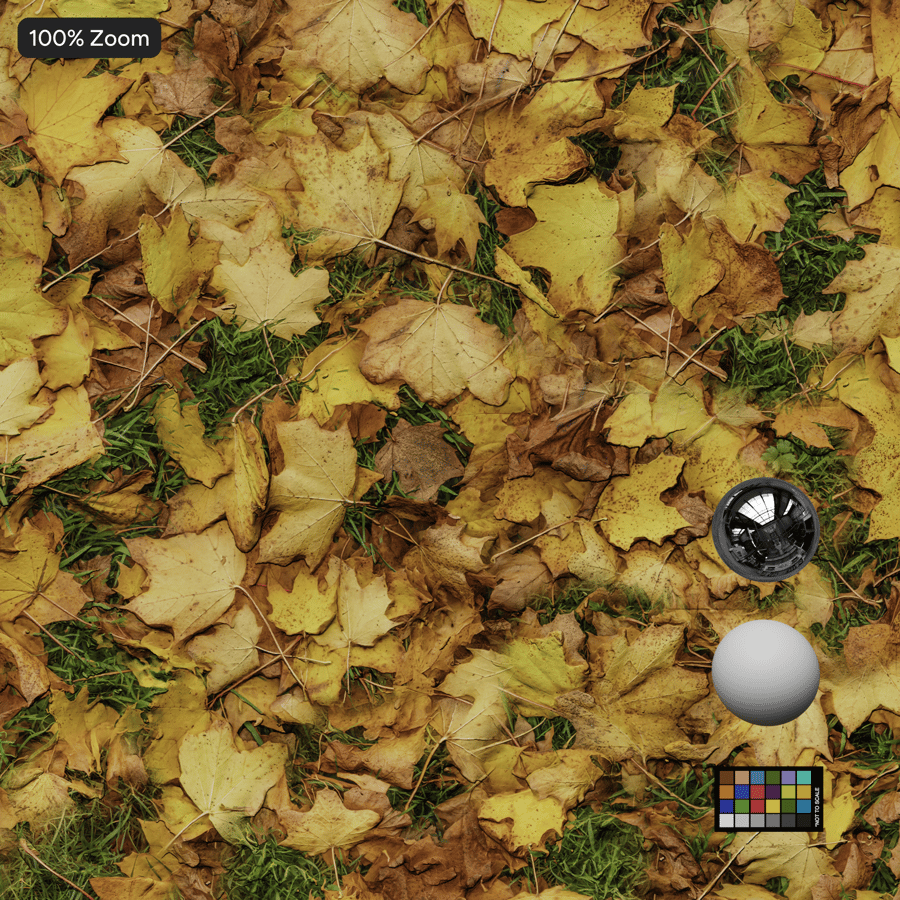 Autumn Maple Leaves on Grass Texture