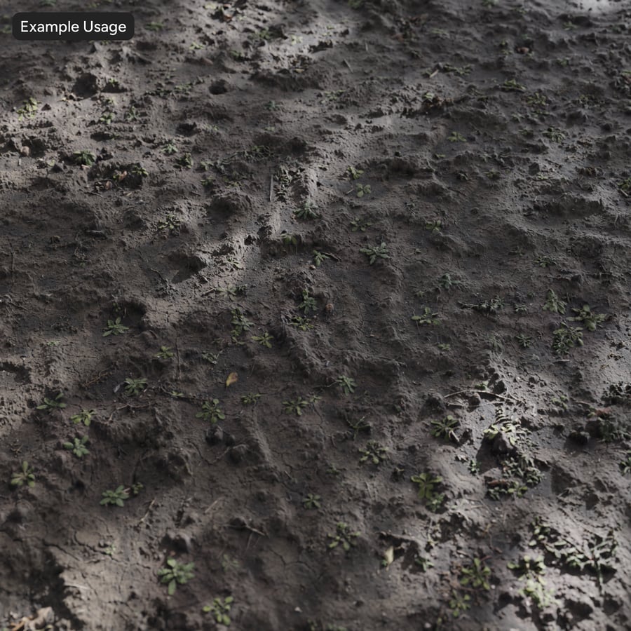 Solo nu com textura de floresta com flores