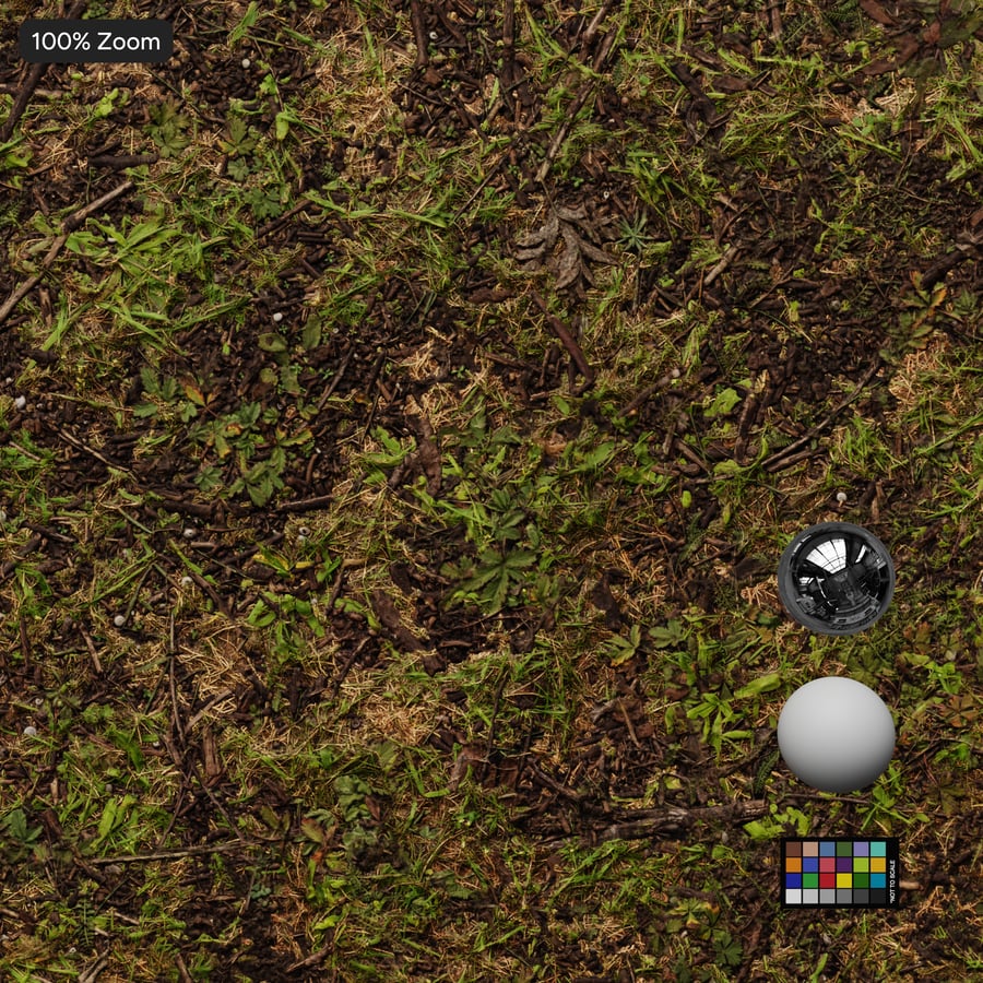 Tekstur Hutan Rumput dan Ranting