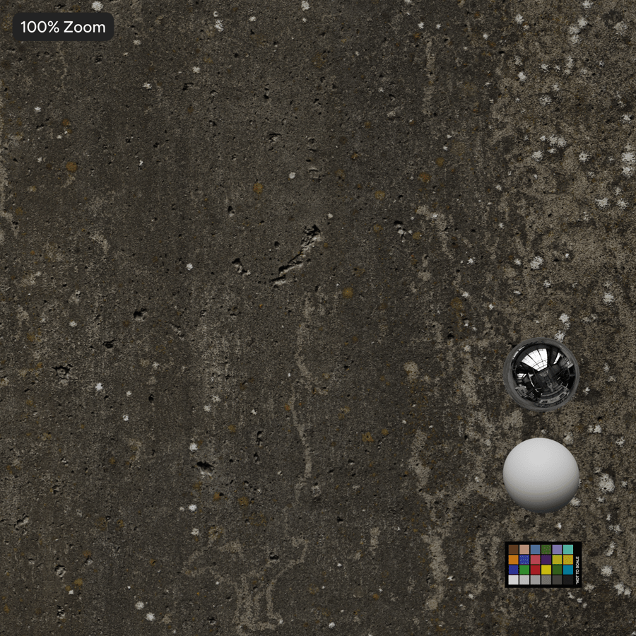 Lichen Covered Concrete Retaining Wall Texture