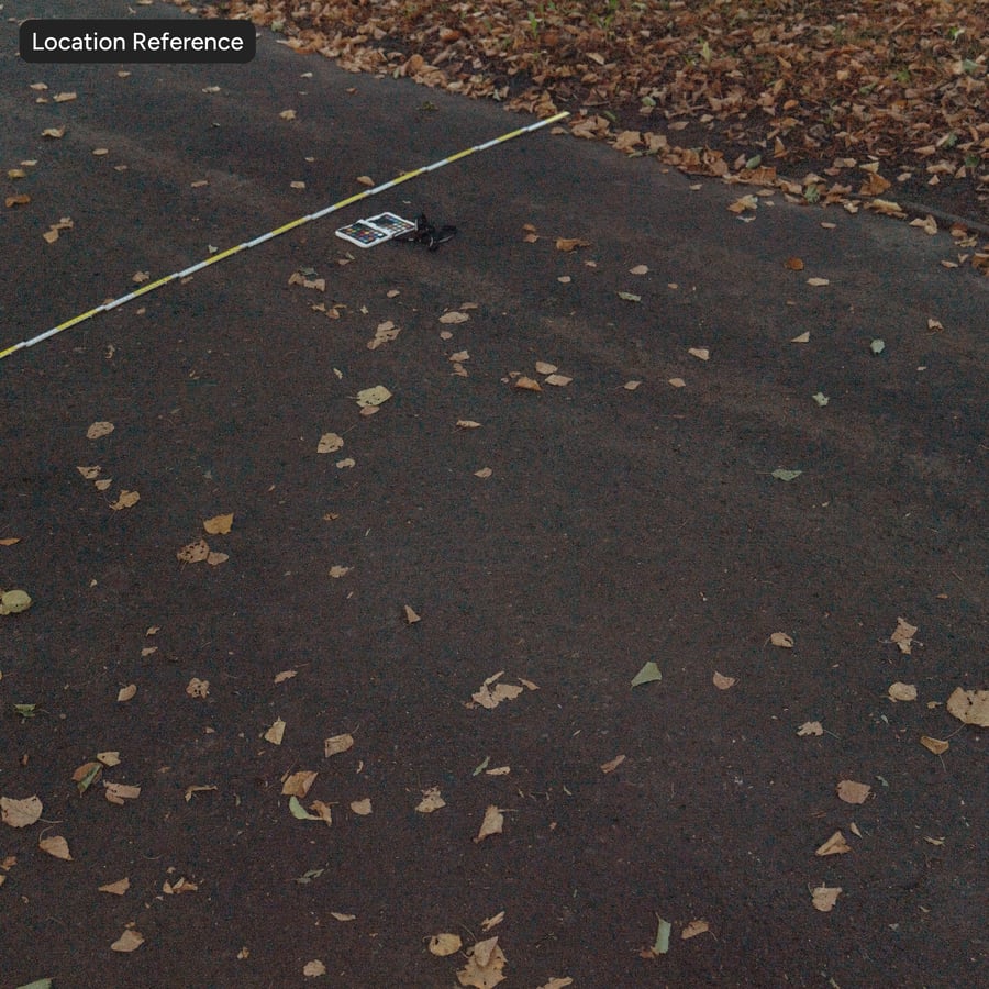 Leaves on Wet Asphalt Road Texture