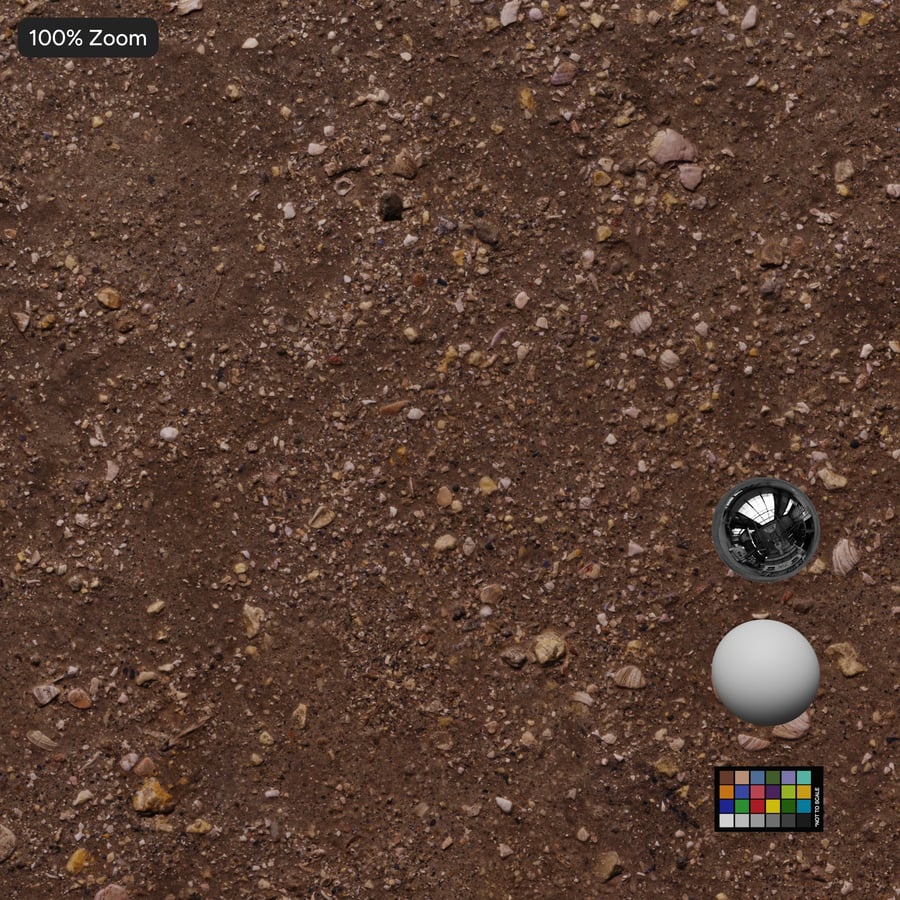 Broken Seashells on Dirt Texture