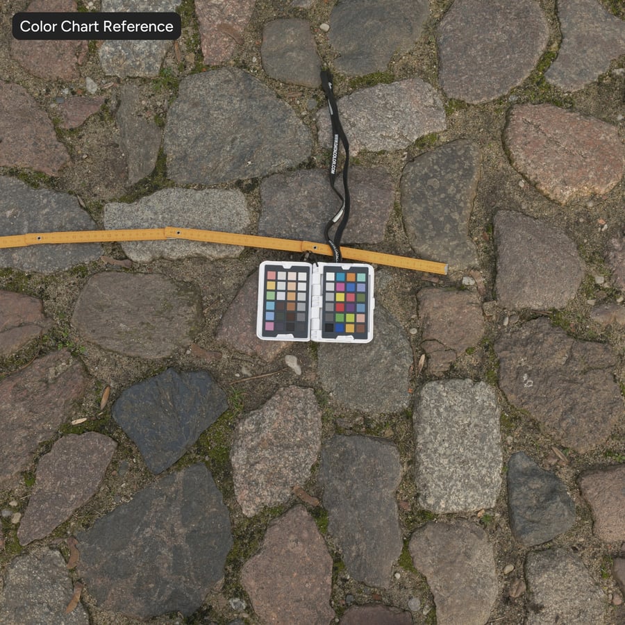 Worn Cobblestone with Weeds Texture
