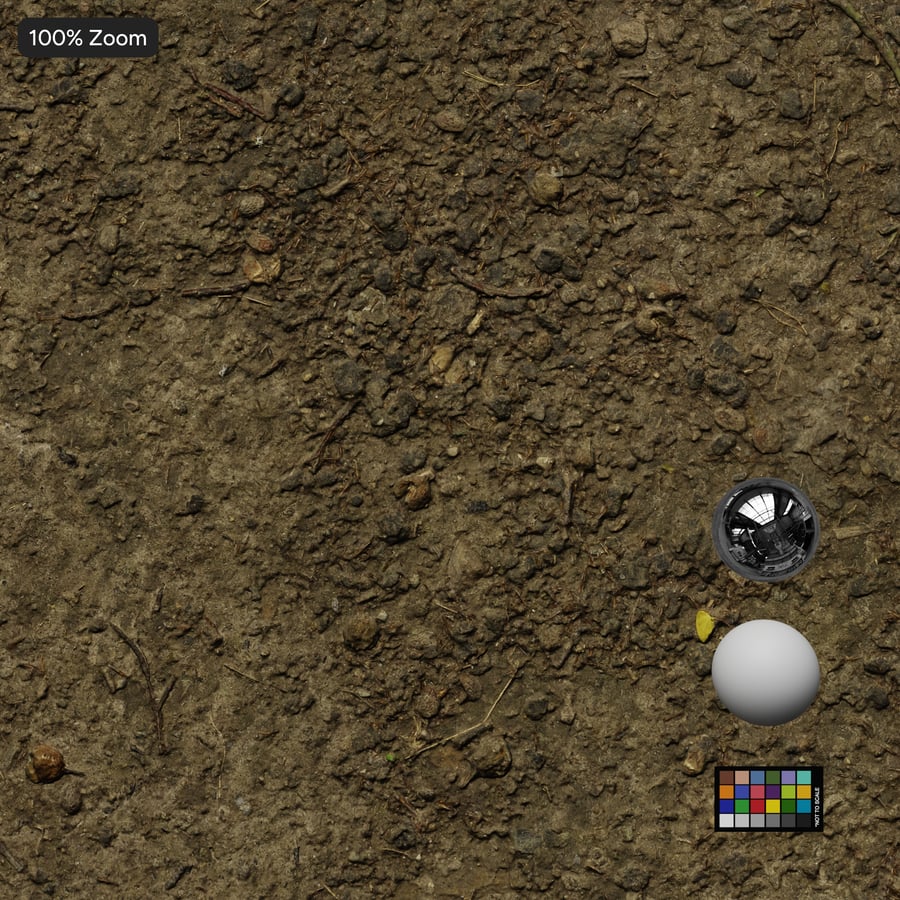 Piccole foglie su sentiero sporco Texture