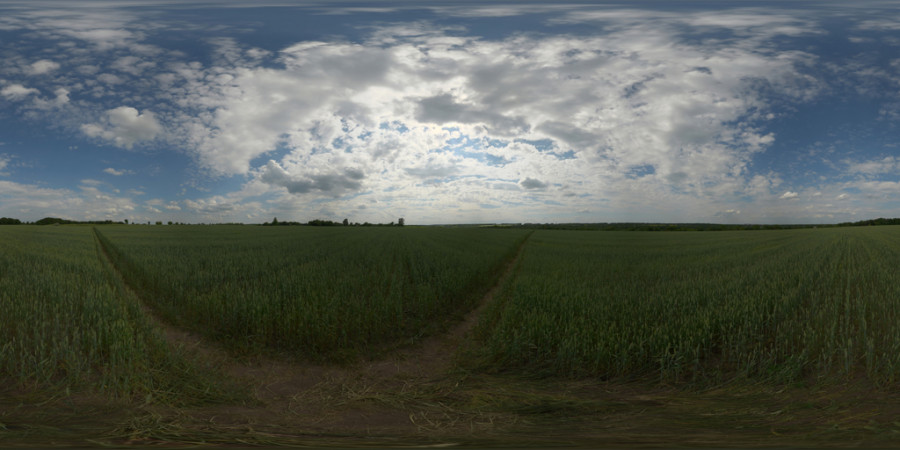 Scattered Cloud Afternoon Field Outdoor Sky HDRI