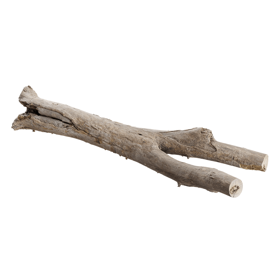 Large Branched Bare Log Model
